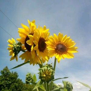 Meet your Posher, Aleyda